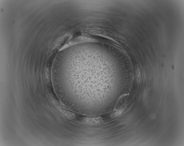 X0000056000571200509021707