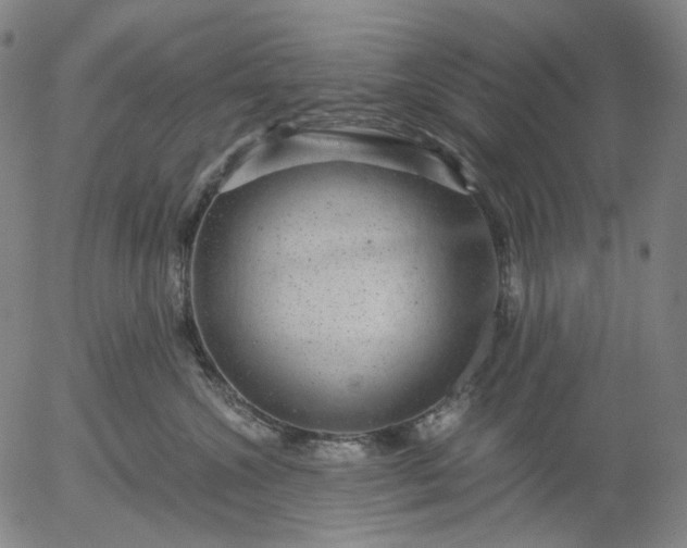 X0000056000572200509021707