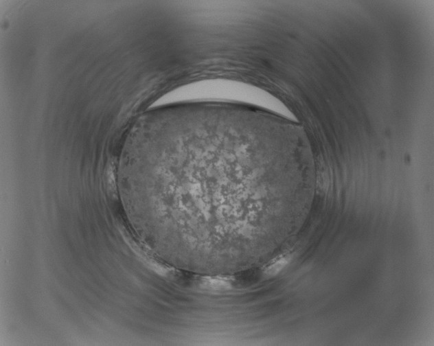 X0000056000573200509021707