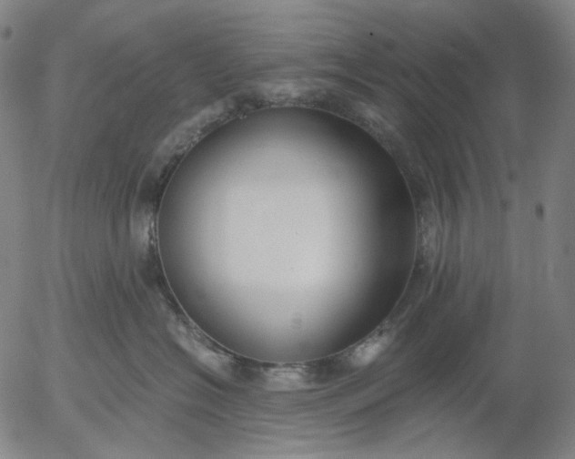 X0000056000574200509021707