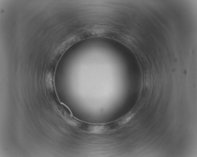 X0000056000575200509021707