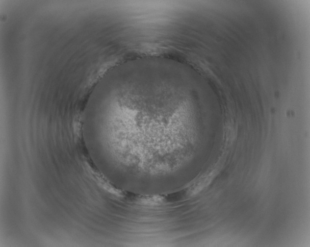 X0000056000576200509021707