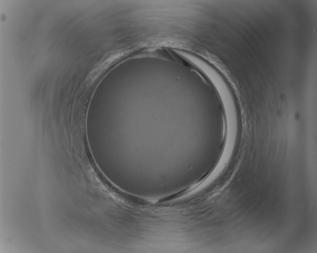 X0000056000577200509021706