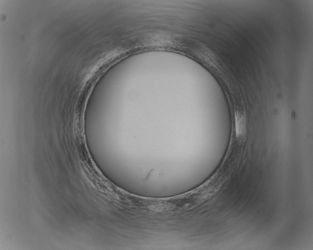 X0000056000579200509021706