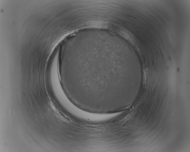 X0000056000580200509021706