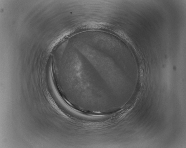 X0000056000581200509021706