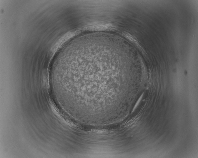 X0000056000582200509021706