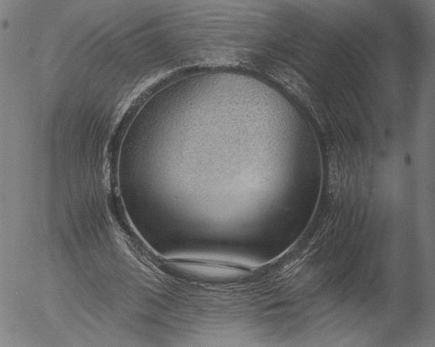 X0000056000584200509021706