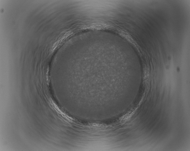 X0000056000585200509021706