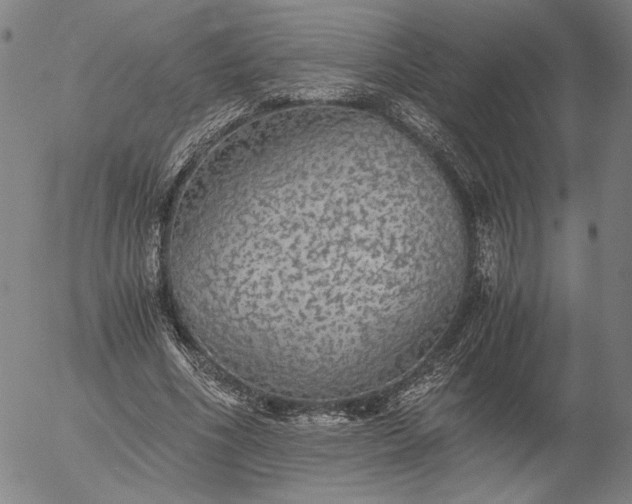 X0000056000586200509021706