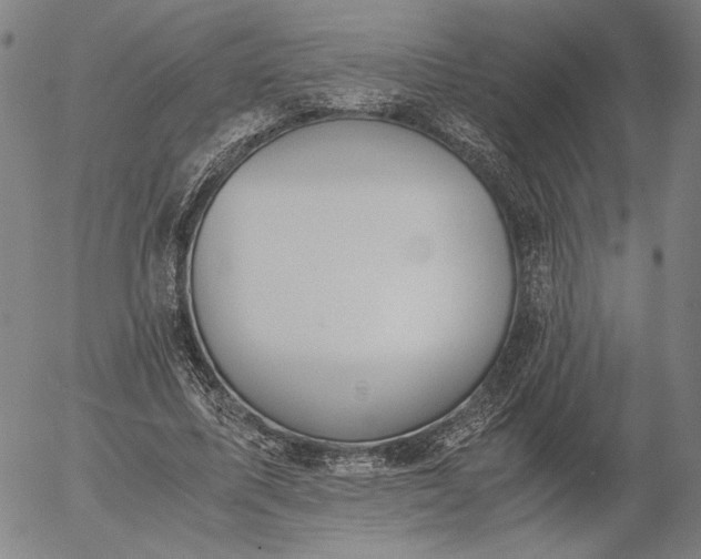 X0000056000587200509021706