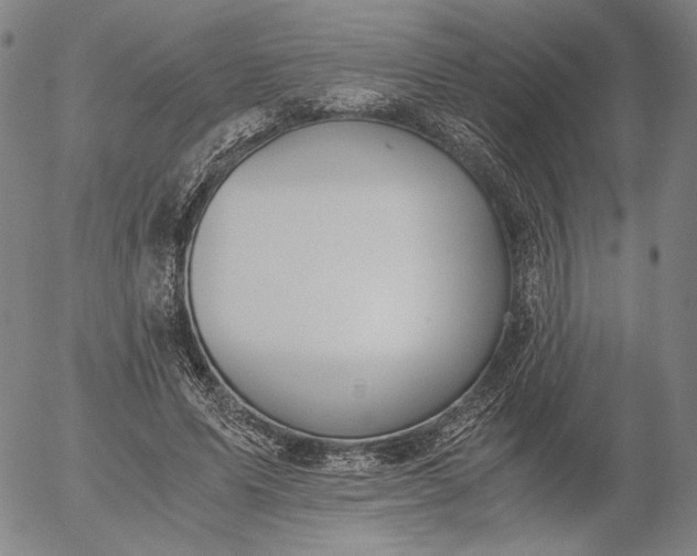 X0000056000591200509021706