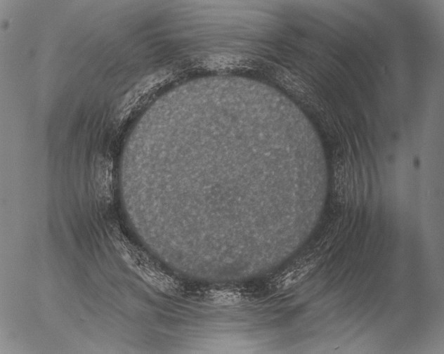 X0000056000592200509021706