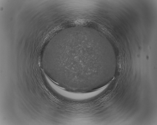 X0000056000593200509021706