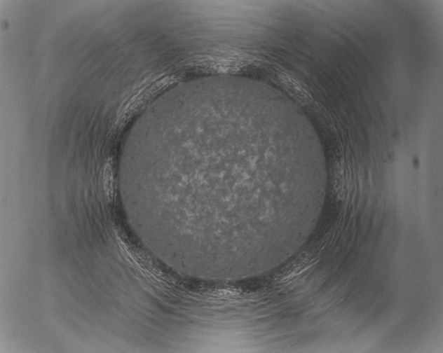 X0000056000594200509021706