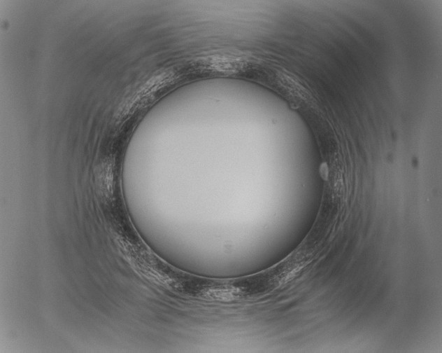 X0000056000595200509021706