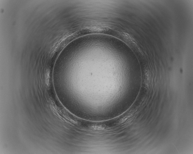 X0000056000596200509021706