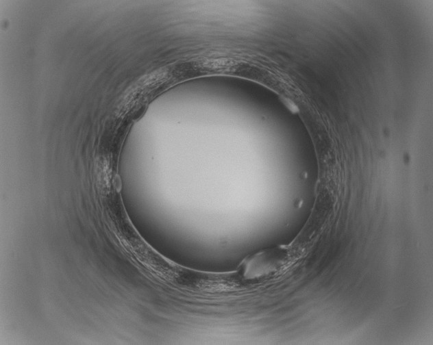 X0000056000597200509021706