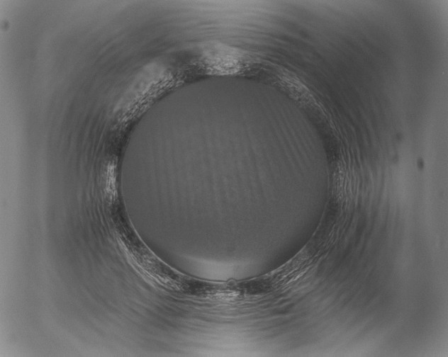 X0000056000598200509021706