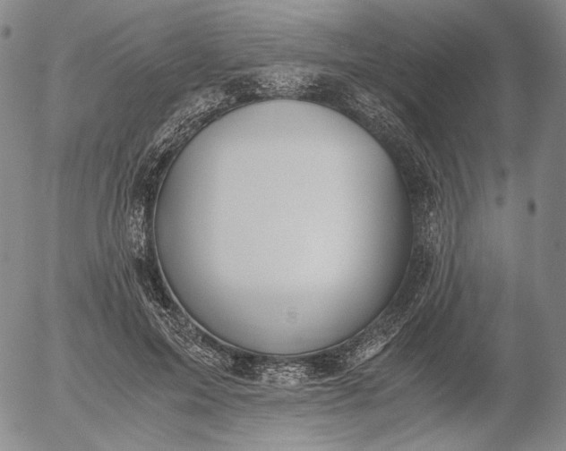 X0000056000599200509021706