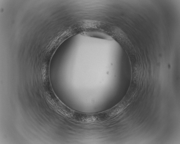 X0000056000600200509021706