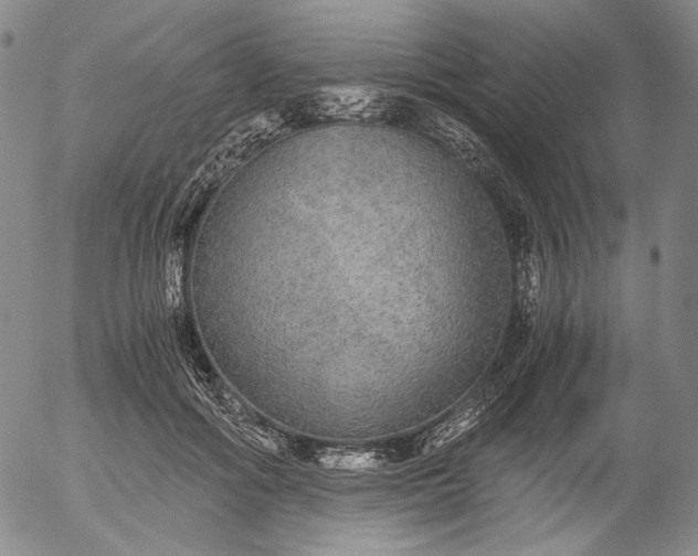 X0000056000602200509021706