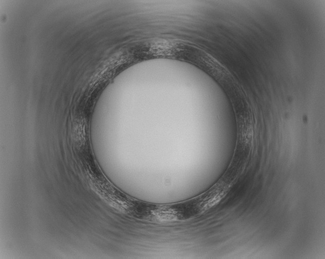 X0000056000603200509021706