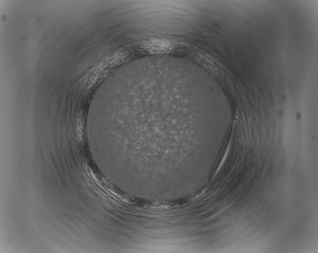 X0000056000604200509021706