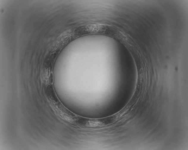 X0000056000605200509021706