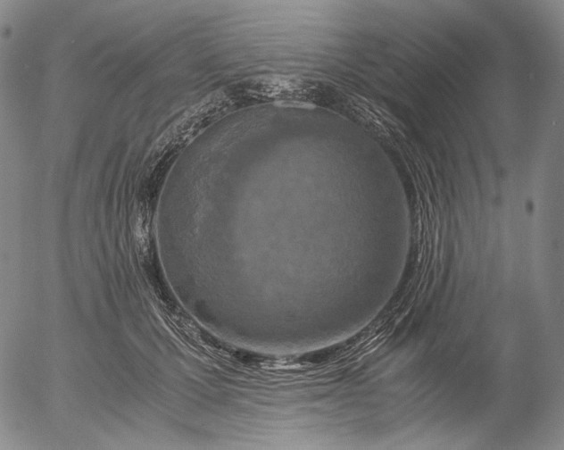 X0000056000607200509021706