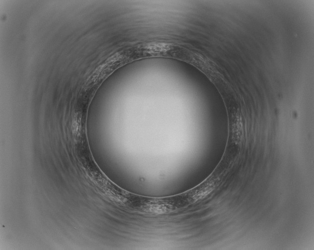 X0000056000608200509021706