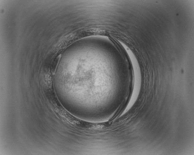 X0000056000609200509021706