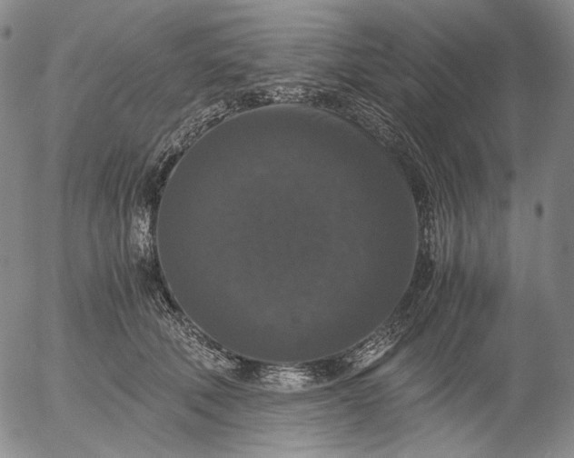 X0000056000610200509021706