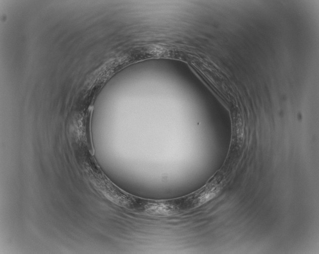 X0000056000611200509021706