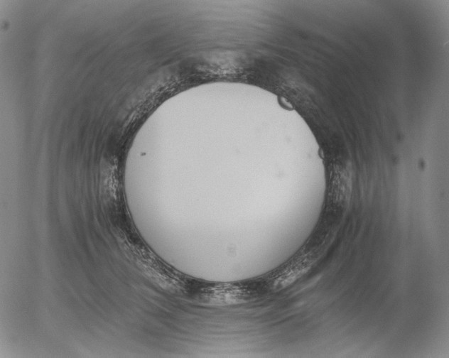 X0000056000612200509021706