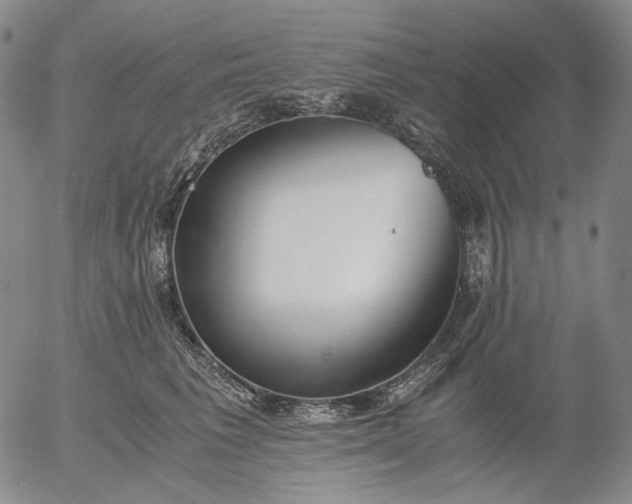 X0000056000613200509021706