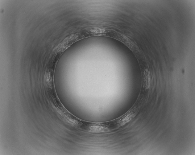 X0000056000614200509021706