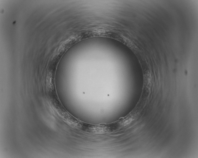 X0000056000615200509021706