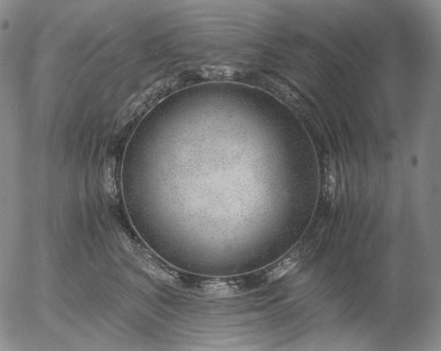 X0000056000616200509021706