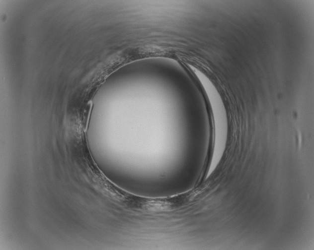 X0000056000617200509021706