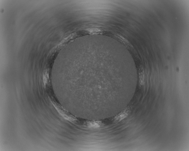 X0000056000618200509021705