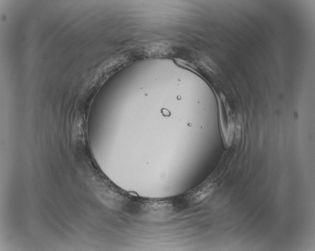 X0000056000619200509021705