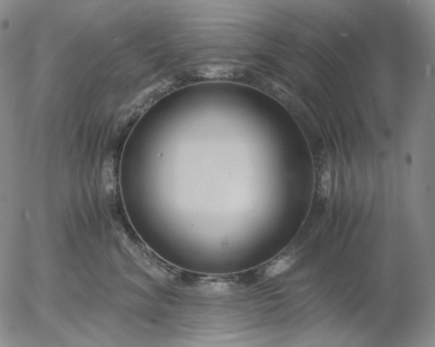 X0000056000620200509021705