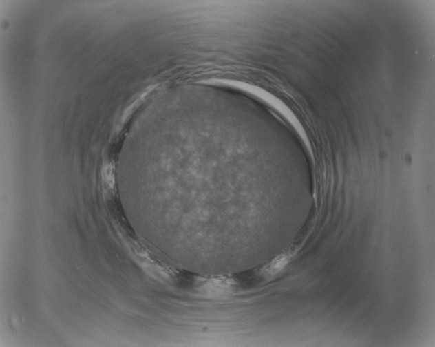 X0000056000621200509021705