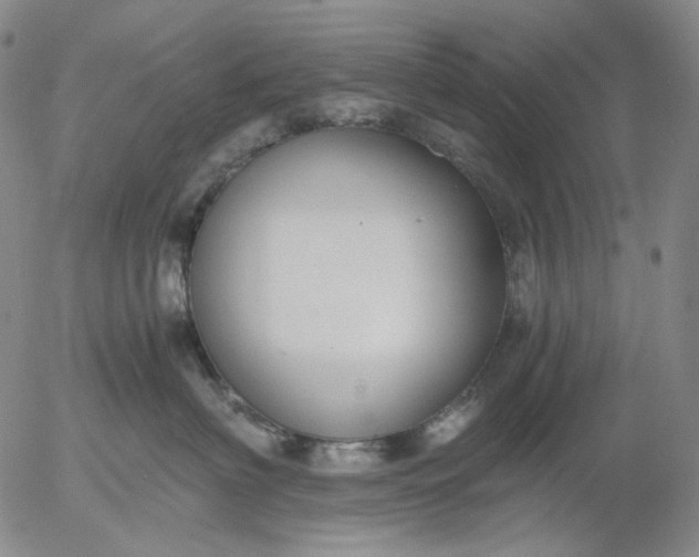 X0000056000622200509021705