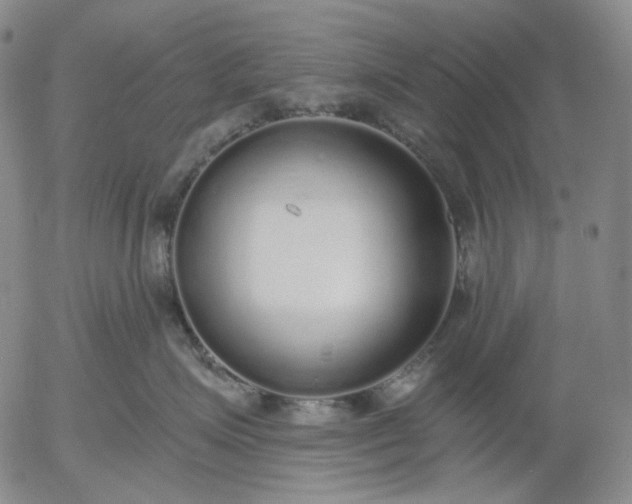 X0000056000623200509021705