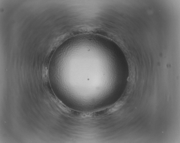 X0000056000624200509021705