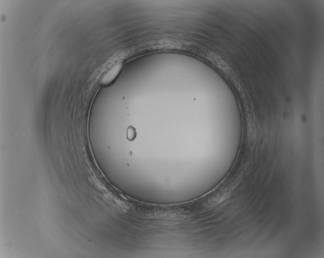 X0000056000625200509021705