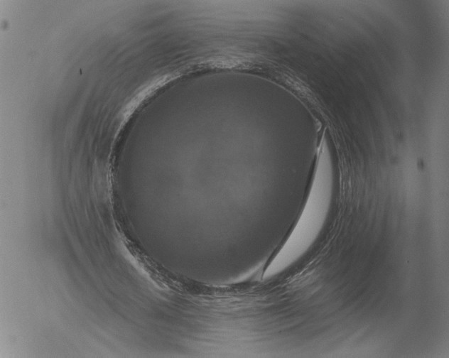 X0000056000626200509021705