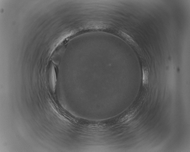 X0000056000627200509021705